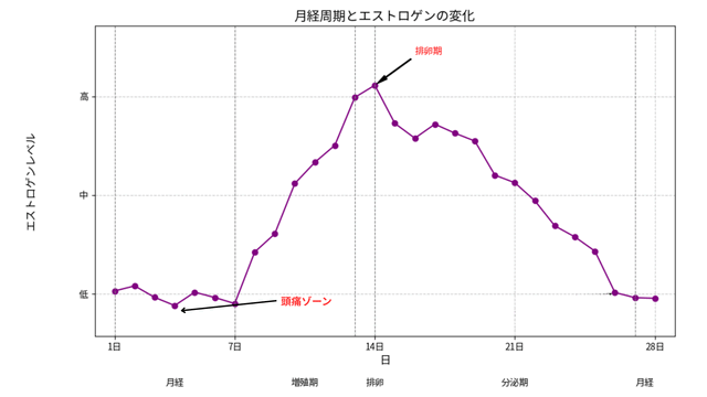 月経周期とエストロゲンの変化
