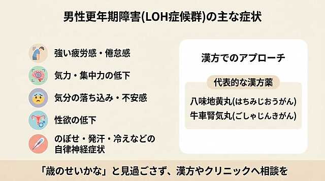 男性更年期障害（LOH症候群）の主な症状
