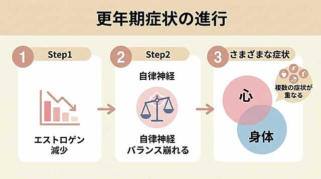 更年期症状の進行 エストロゲン低下→自律神経が崩れる→心と体に複数の症状が重なる。