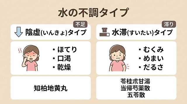 水の不調タイプ 陰虚（いんきょ）タイプ・水滞（すいたい）タイプ