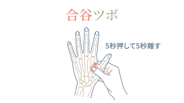 合谷ツボの図