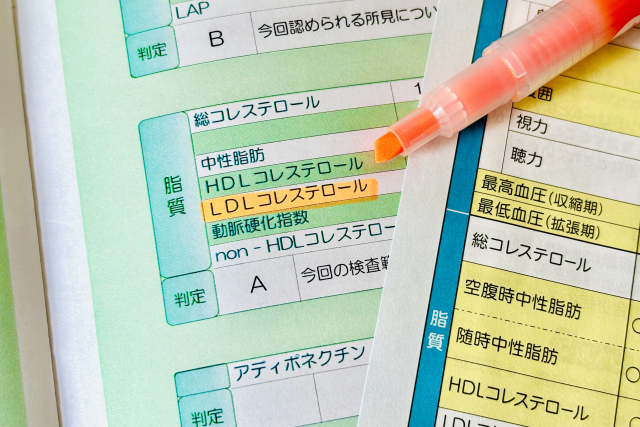 【管理栄養士監修】更年期のコレステロールを下げる運動＆食事法
