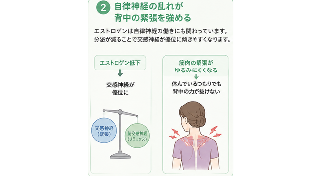 自律神経の乱れが背中の緊張を強める